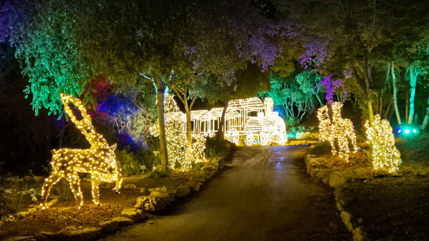 Winter Dreams II (צילום: תום עמית)