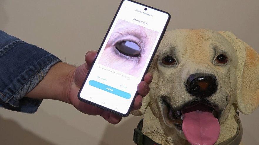 גלקסי החדש. אין פריצות דרך (צילום: סמסונג)