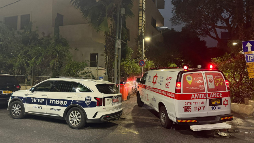 אמבולנס, ניידת משטרה. אילוסטרציה (צילום: תיעוד מבצעי מד"א)
