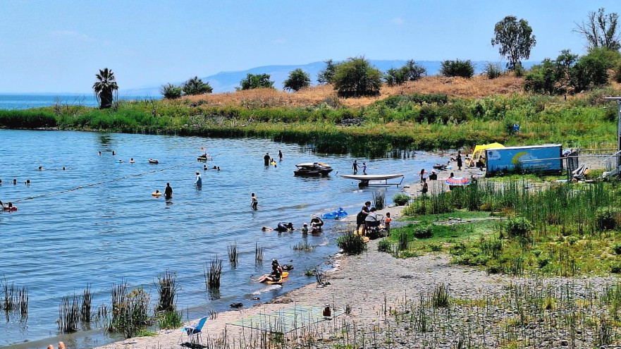 חוף מפרץ אמנון בכינרת (צילום: אושרי בן דור, איגוד ערים כינרת)