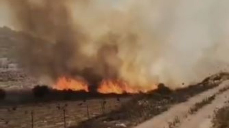 שריפת ענק בשומרון (צילום: רשתות חברתיות, שימוש לפי סעיף 27 א')