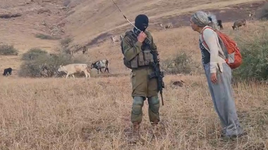 תיעוד החיילים ופעילי השמאל באזור חמאם אל מאלח (צילום: צילום מסך)