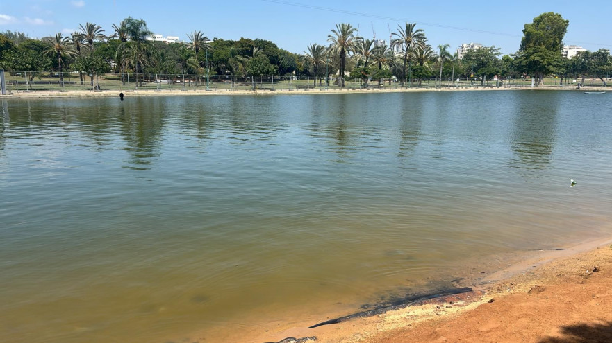 חיפושים אחר ילד באגם בפארק דרום בתל אביב (צילום: כבאות והצלה)