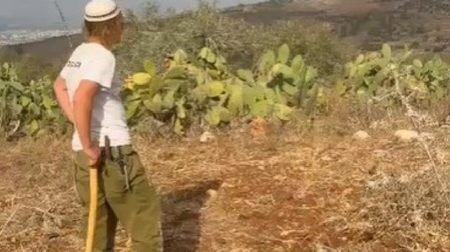 אירוע אלימות בשומרון (צילום: שימוש לפי סעיף 27א')