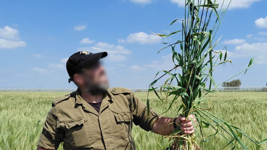 פלוגת המילואימניקים (צילום: דובר צה"ל)
