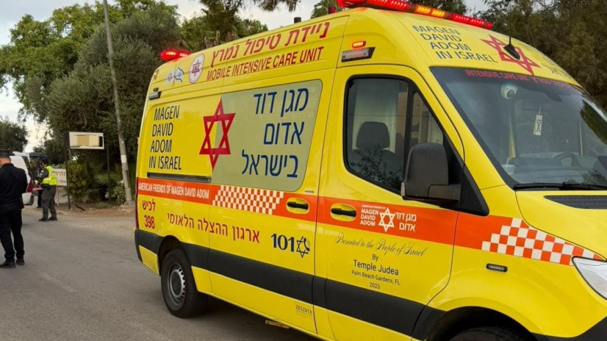 התאונה סמוך לברור חיל (צילום: מד"א)