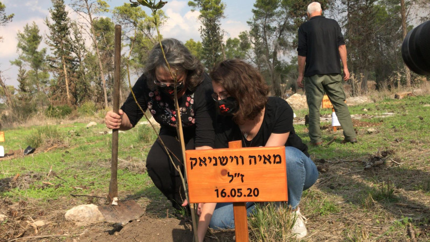 עץ לזכרה של מאיה ווישניאק ז"ל (צילום: מערך ההסברה קק"ל)