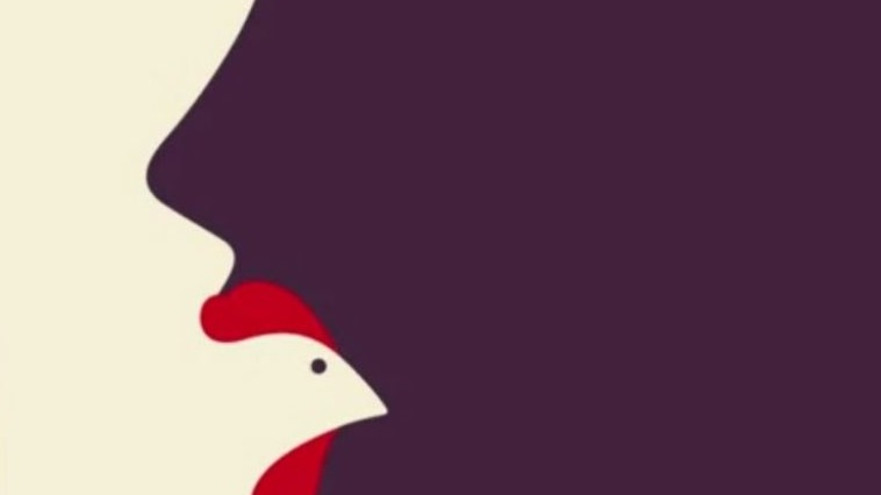 אשליה אופטית (צילום: צילום מסך מתוך טיקטוק)