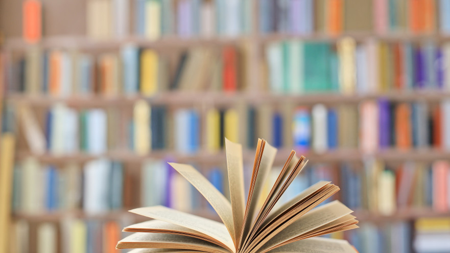 המלצות קריאה (צילום: שאטרסטוק)