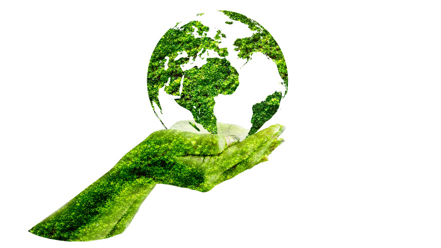 קיימות (צילום: אינג'אימג')