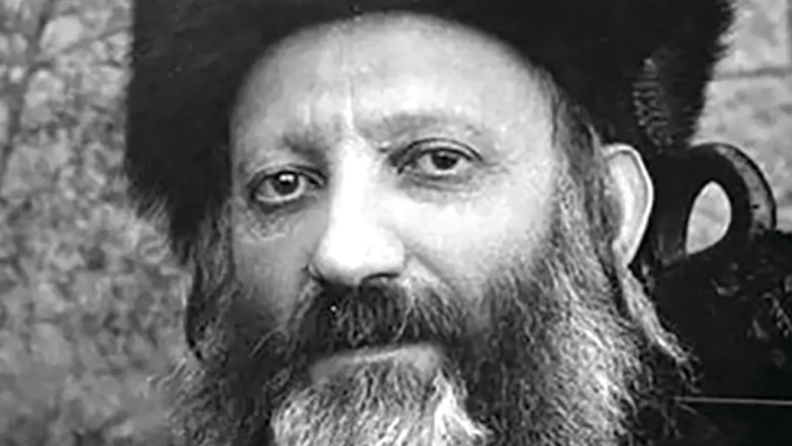הרב קוק
