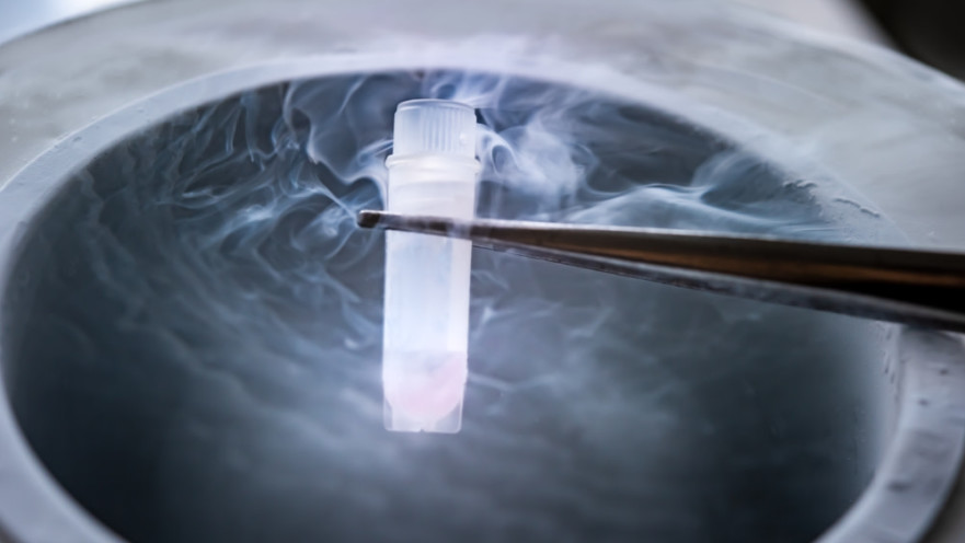 בנק זרע. פיקוח ורגולציה מחמירים