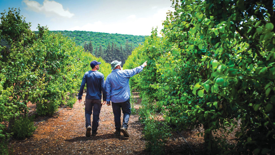 חקלאים בישראל