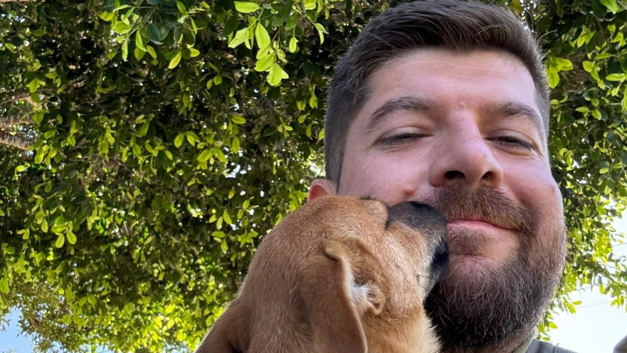 גיא גרינשטיין 