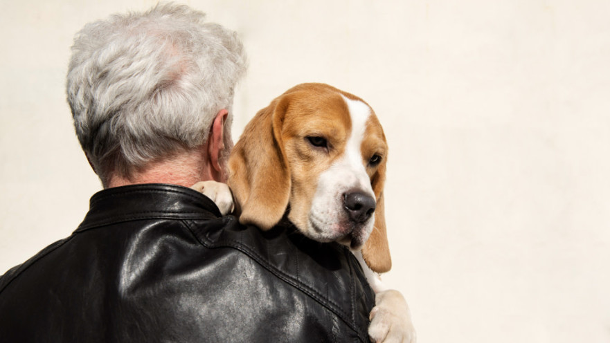 בריאות הלב והנפש: איך כלב קטן יכול לשנות חיים גדולים