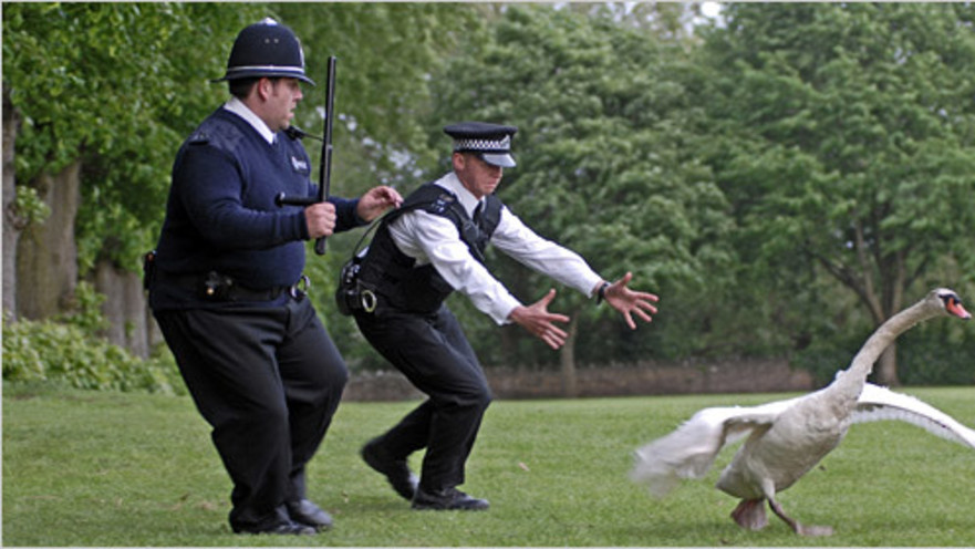 Hot Fuzz - "שוטרים לוהטים"