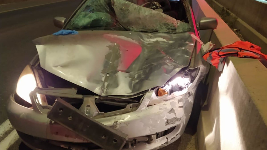 רכב התנגש בסוס בכביש 3