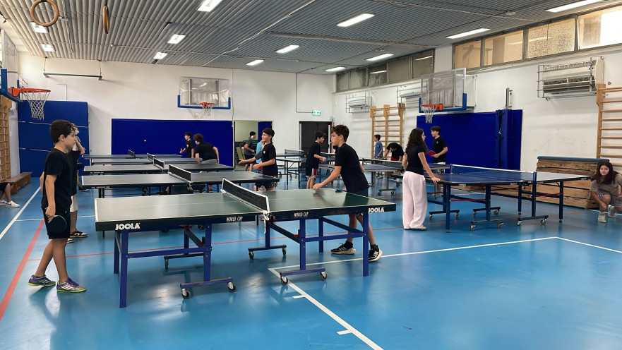 תוכנית באזז