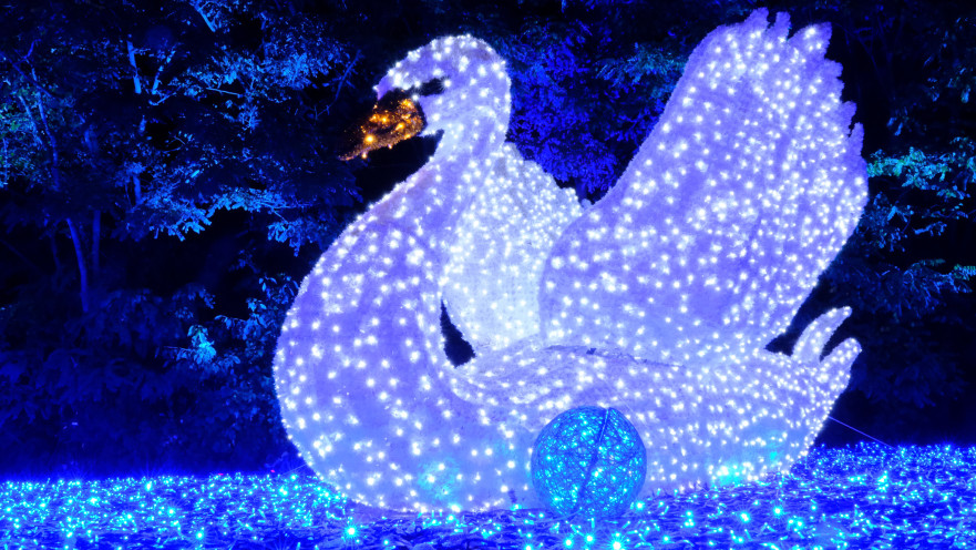 פסטיבל האור LUMAGICA גני יהושע 2025