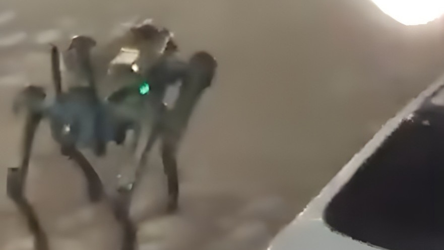 הרובוט הירדני