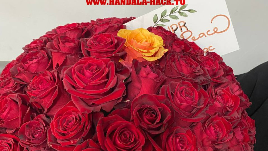 הזר שנשלח לכאורה למדען הגרעין הישראלי