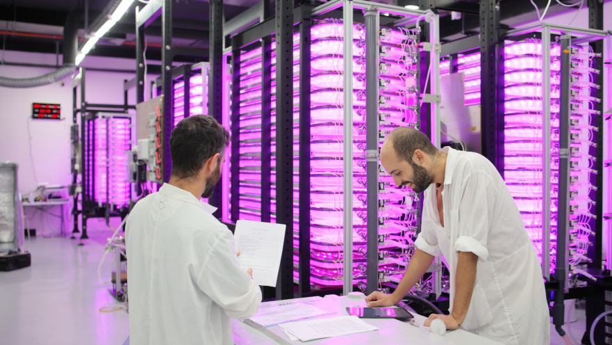 החווה הקוונטית של גרינאניקס