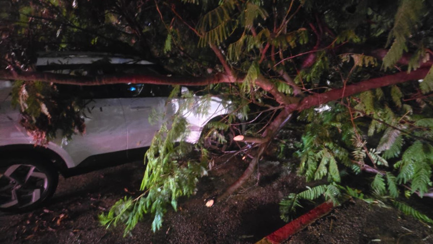 תיעוד מזירת התאונה 