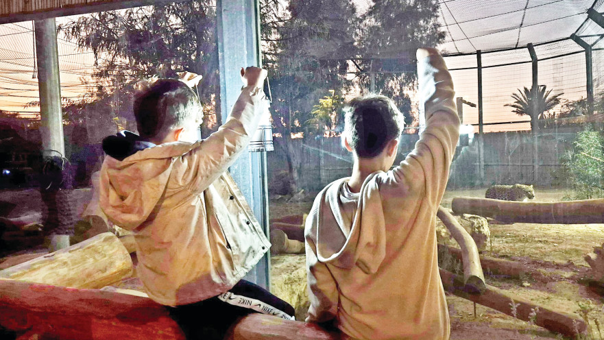 סיור עששיות במדבריום פארק החיות