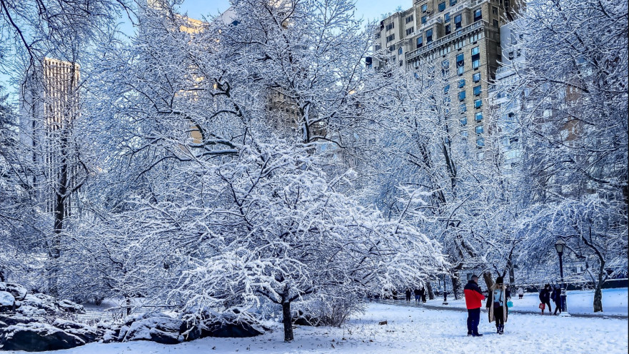סנטרל פארק בשלג