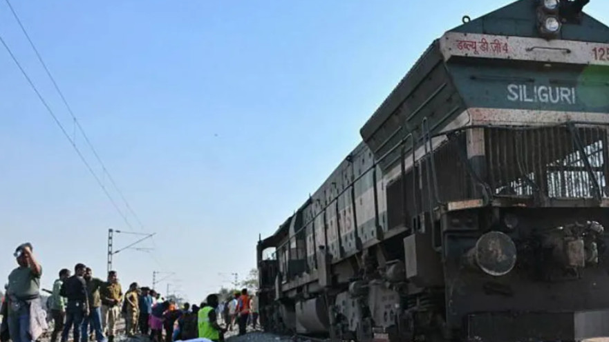 תאונת הרכבת בהודו, פגעה במספר פילים