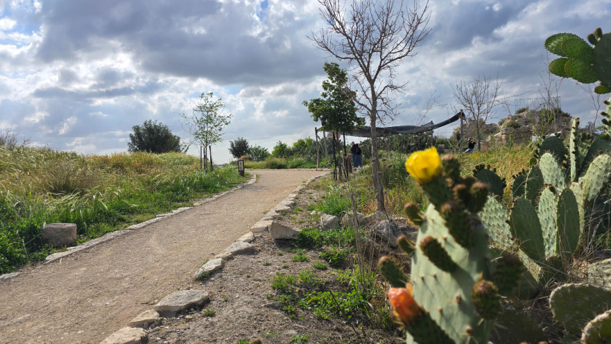 גבעת התיתורה במודיעין