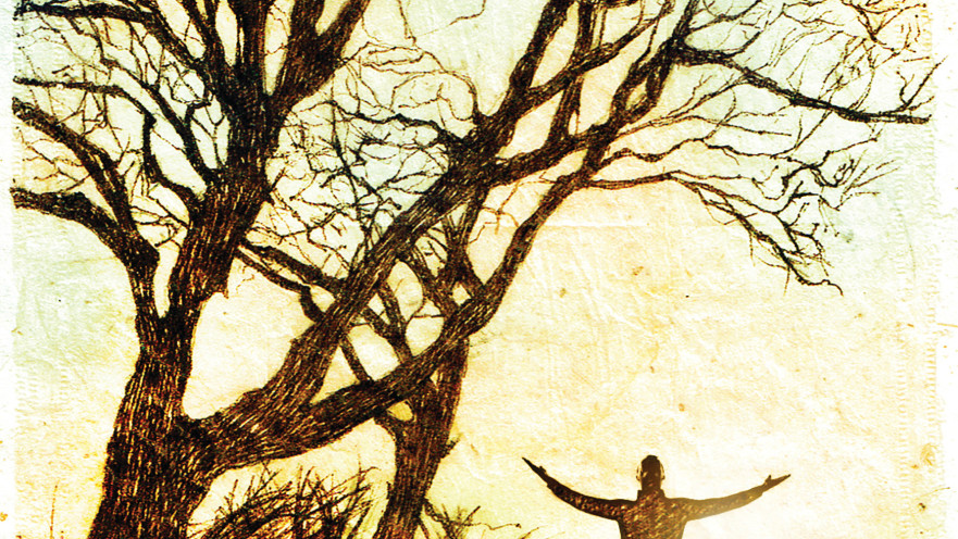 פיל ופיליס (איור: נעמי ליס-מיברג)