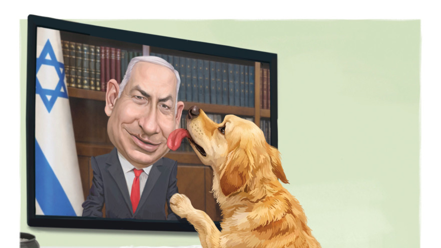 הכלב הביביסט