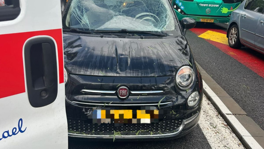 קריסת עץ על רכב בקרית מוצקין