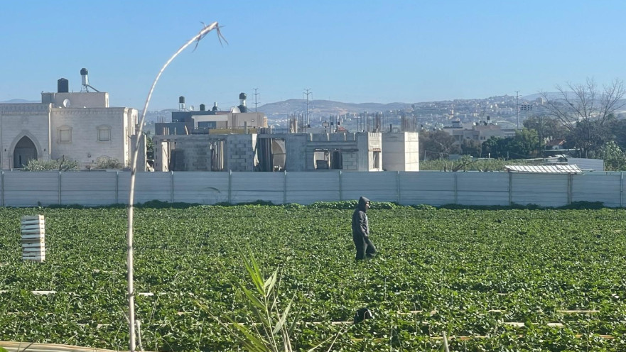 תופעת השבחים בקו התפר