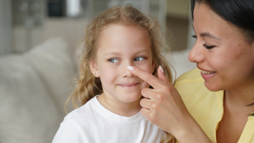 האף הוא הרבה יותר מצינור אוויר
