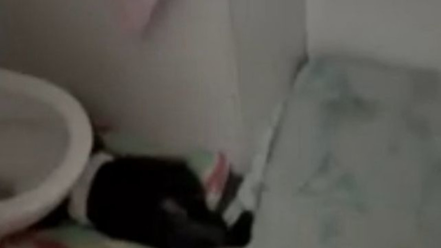 פעוט ישן על הרצפה בשירותים בפעוטון בירושלים