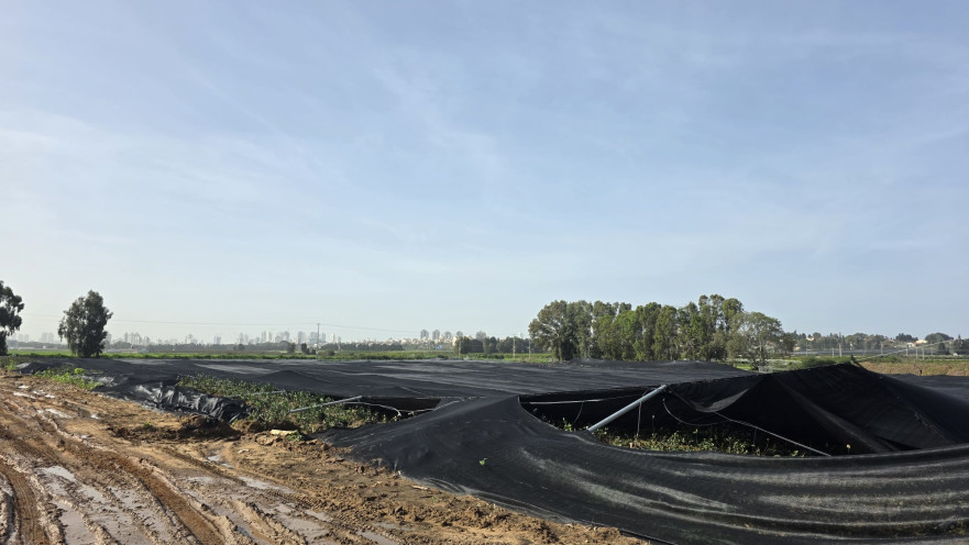 הרס החממות בעקבות מזג האוויר