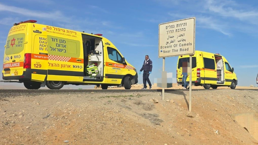 אמבולנסים בזירת התאונה