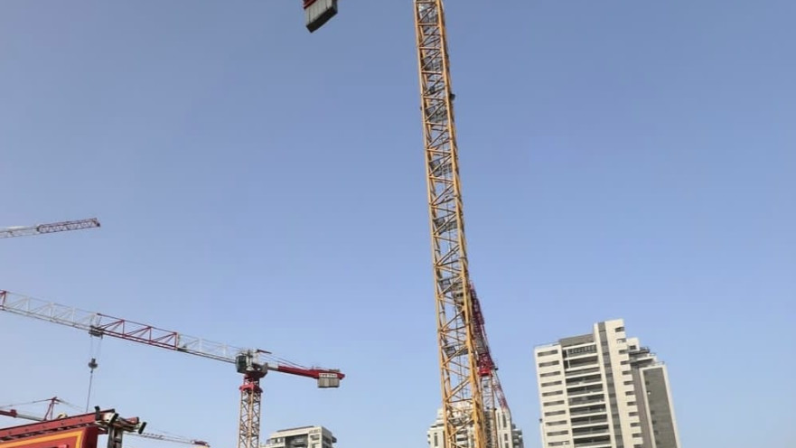 שני לכודים על עגורן בלוד