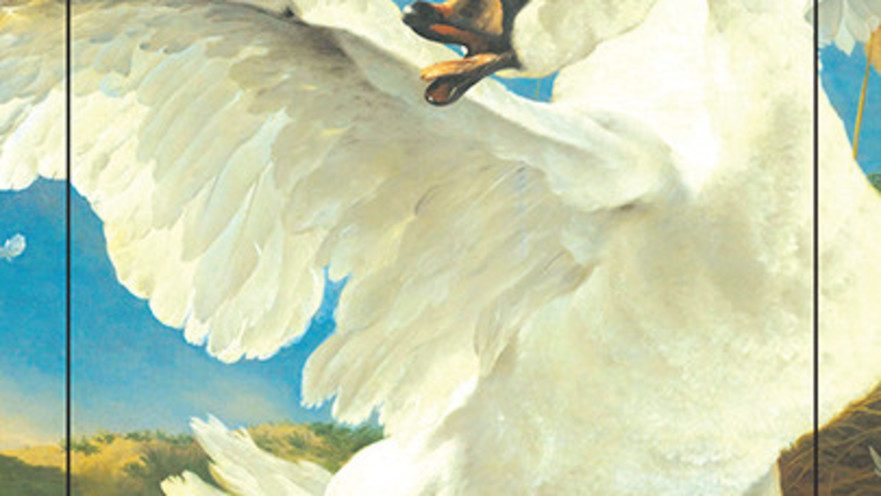 "אורחים", איילת גונדר-גושן