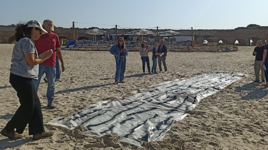 חברת Dario Health