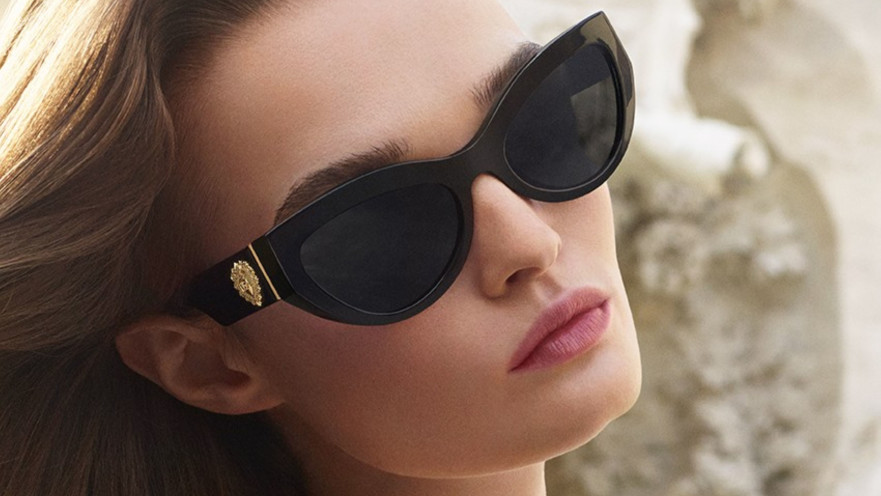 דולצה גבאנה טרנד חתולי