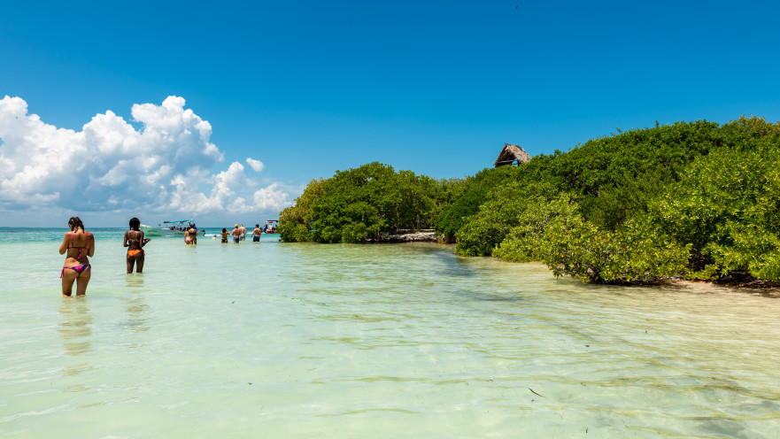 איסלה פסיון, מקסיקו