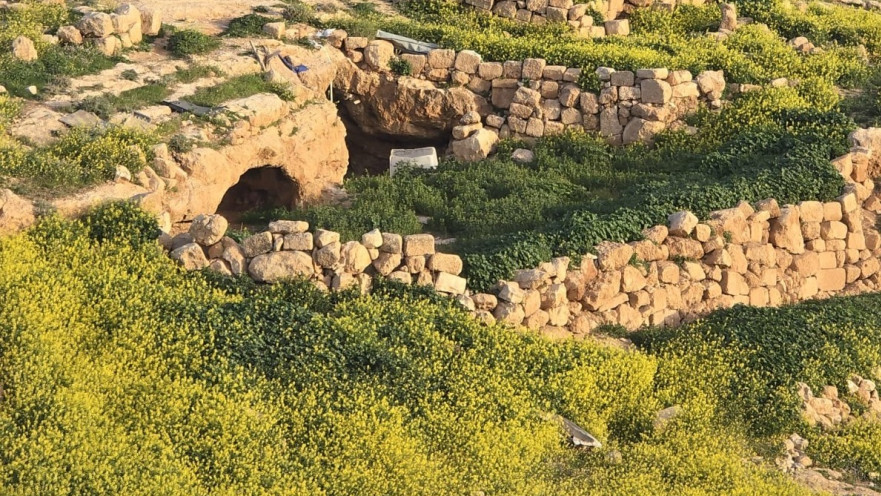 פריחה בגוש עציון