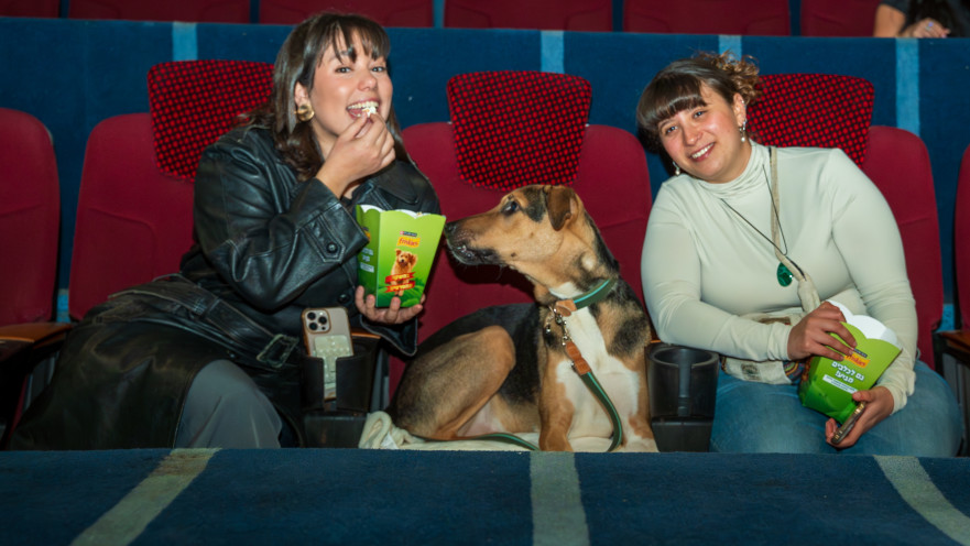 הקרנת סרט לבעלי כלבים