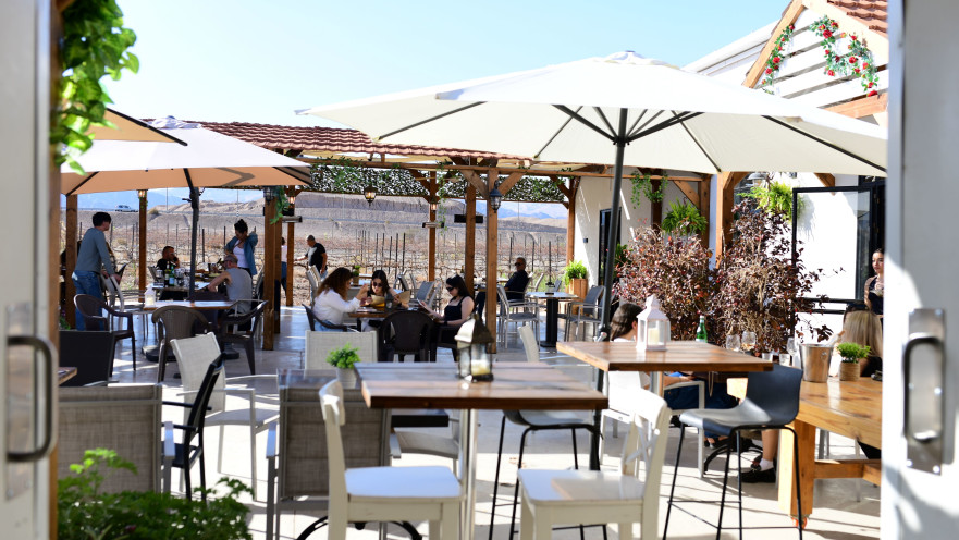 יקב הים האדום 