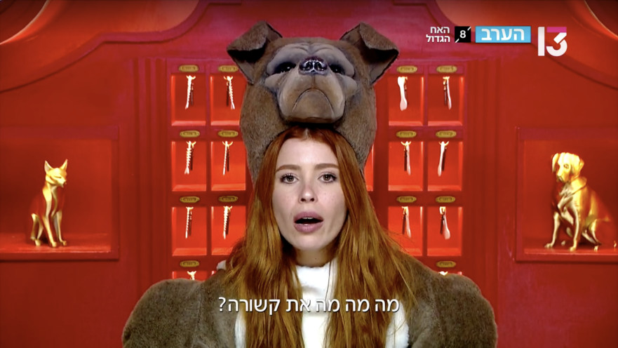 האח הגדול 2026