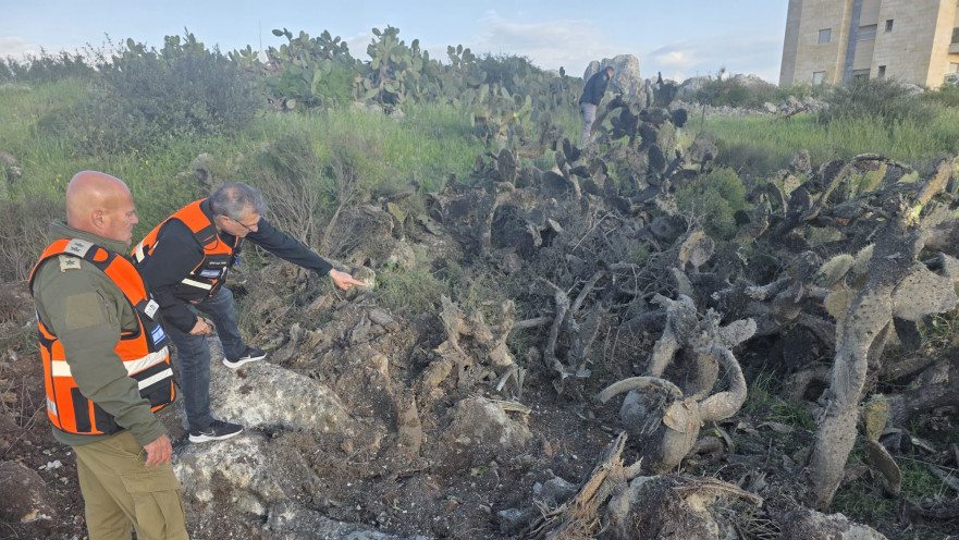 המטח לעבר ישראל: נפילה בכרמיאל 