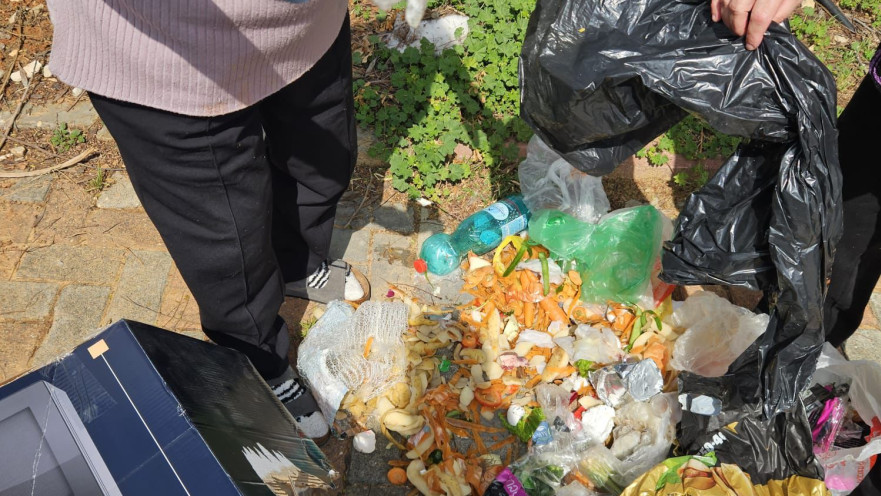 השיניים האבודות נמצאו